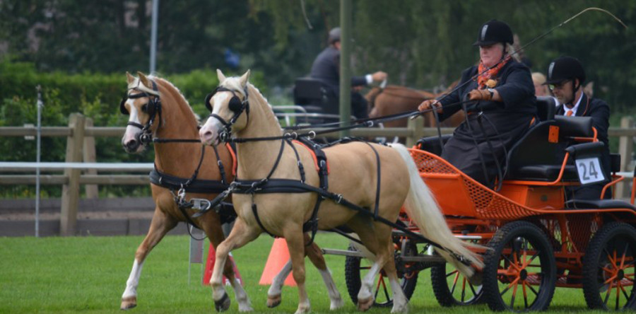 Men wedstrijden in Sprang-Capelle