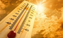 HeatActionDay: Waalwijk heeft hitteplan, de rest van de regio niet