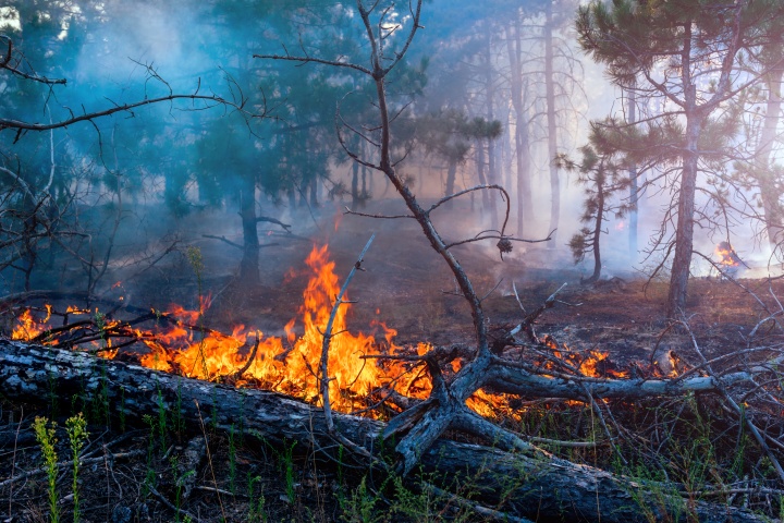 Brand in natuurgebied Fellenoord bij Drunen
