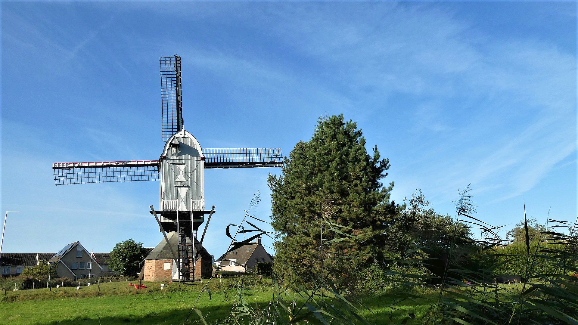 College Waalwijk geeft update rondom korenmolen Dye Sprancke