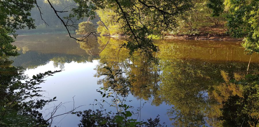 Onthulling informatiepaneel IJsbaan Kaatsheuvel