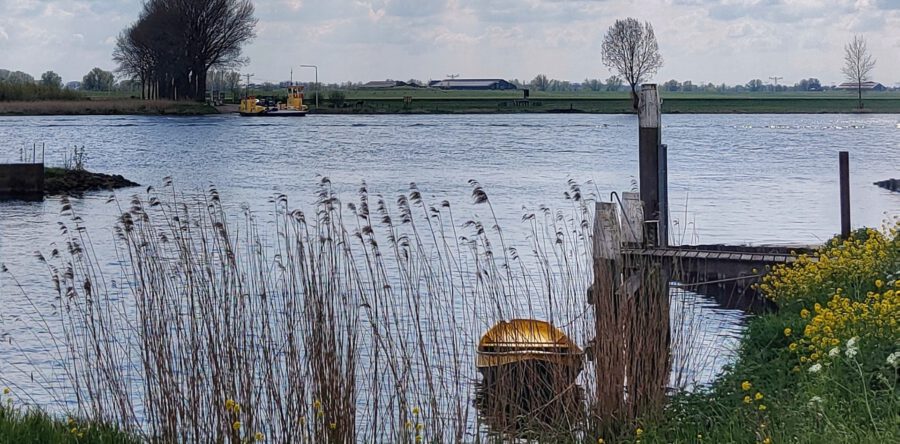 Overlast door regenval in Waalwijk: ‘Weg langs de Maas gesloten’