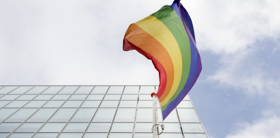 Waalwijk krijgt regenboogzebrapad