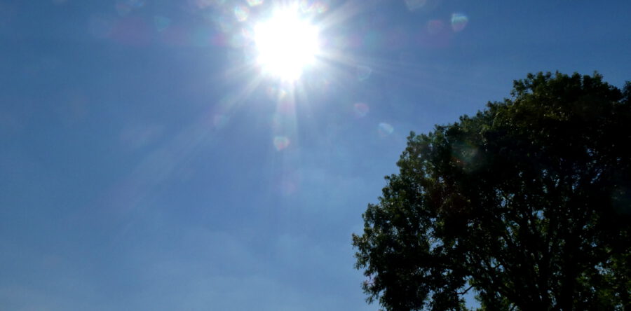 Aangepaste zomer-openingstijden Langstraat gemeentes