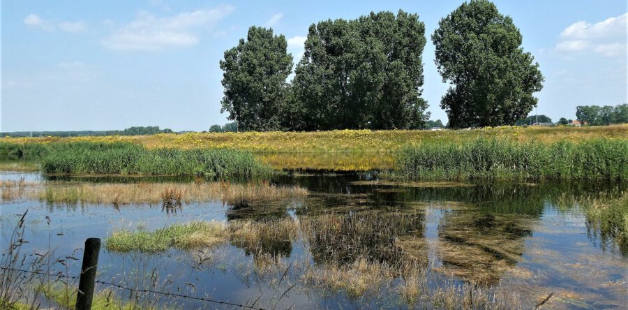 Wat als de dijken breken? Hoe De Langstraat zich wapent tegen water