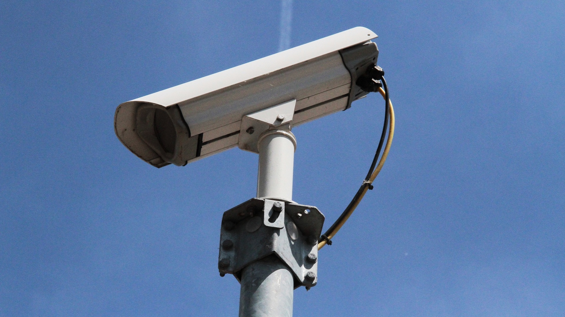 Meer boa’s en cameratoezicht voor betere veiligheid in Heusden