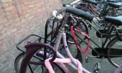 OBS Den Bussel let op fietsveiligheid: verkeersdrukte blijft knelpunt