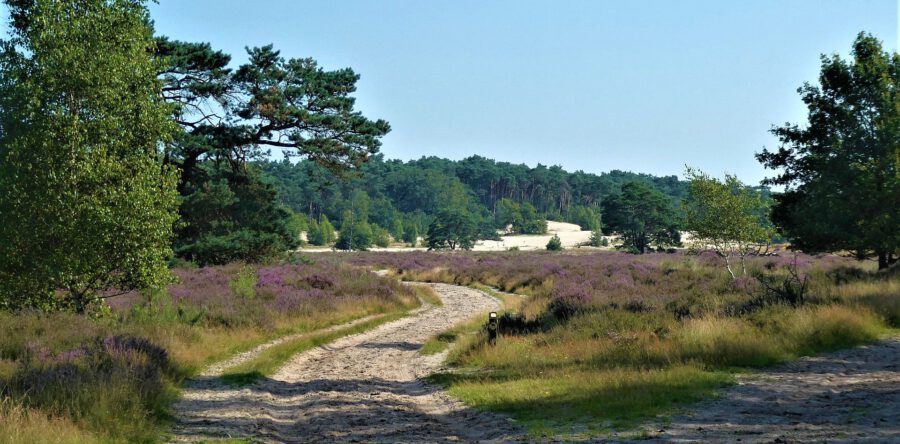 De 4 leukste activiteiten in Waalwijk en omgeving