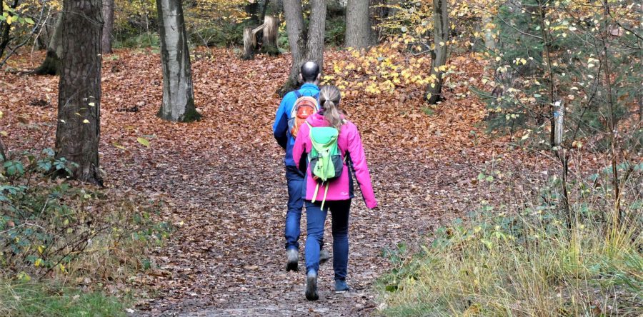 Koninklijke Wandelbond helpt tegen probleem Natuurmonumenten