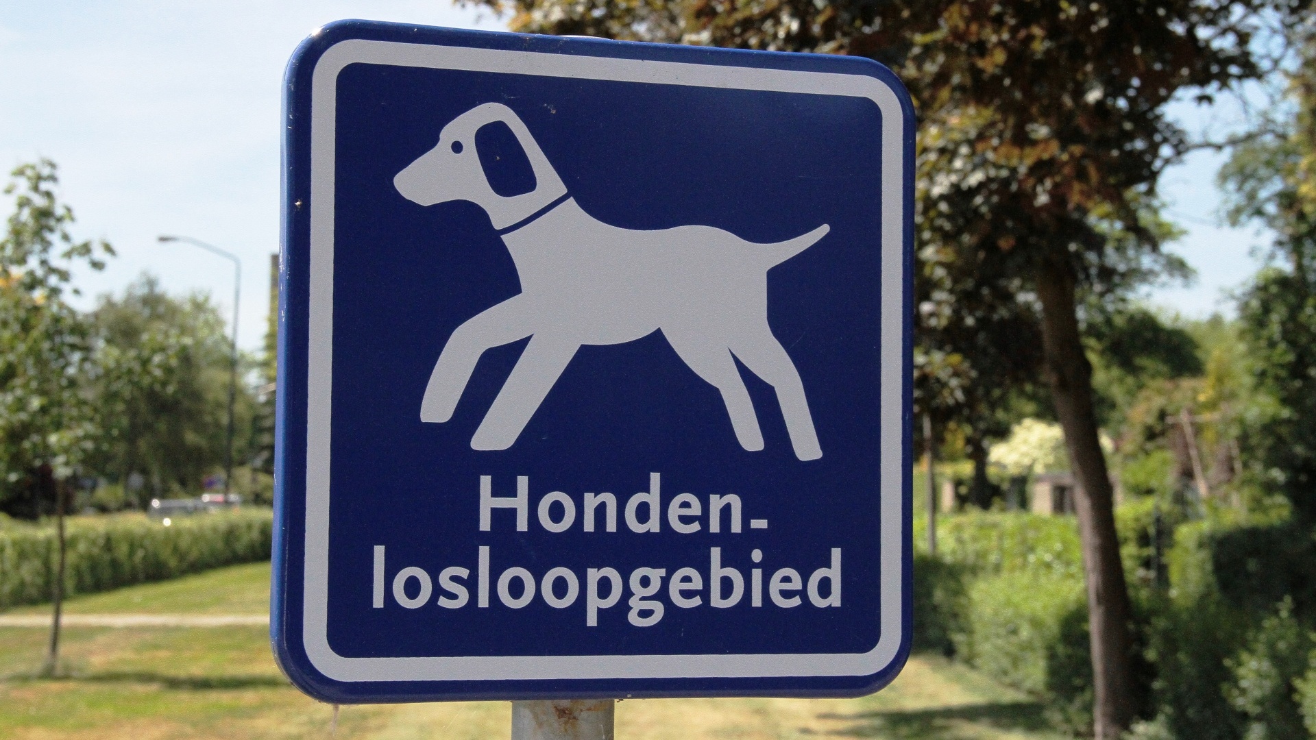 Gemeente Waalwijk start met pilot voor hondenbezitters