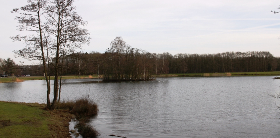 Lido in Waalwijk wordt recreatiegebied, zwemmers uiten zorgen