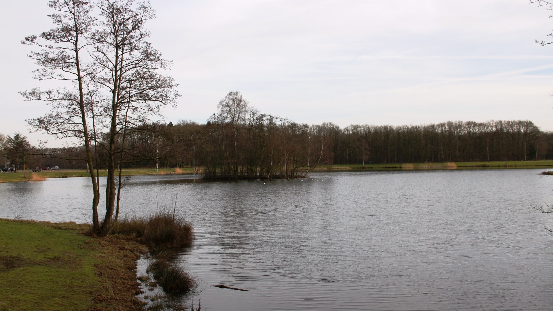 Lido in Waalwijk wordt recreatiegebied, zwemmers uiten zorgen