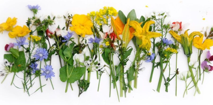 Een tuin van eten een lezing door Peter Bauwens