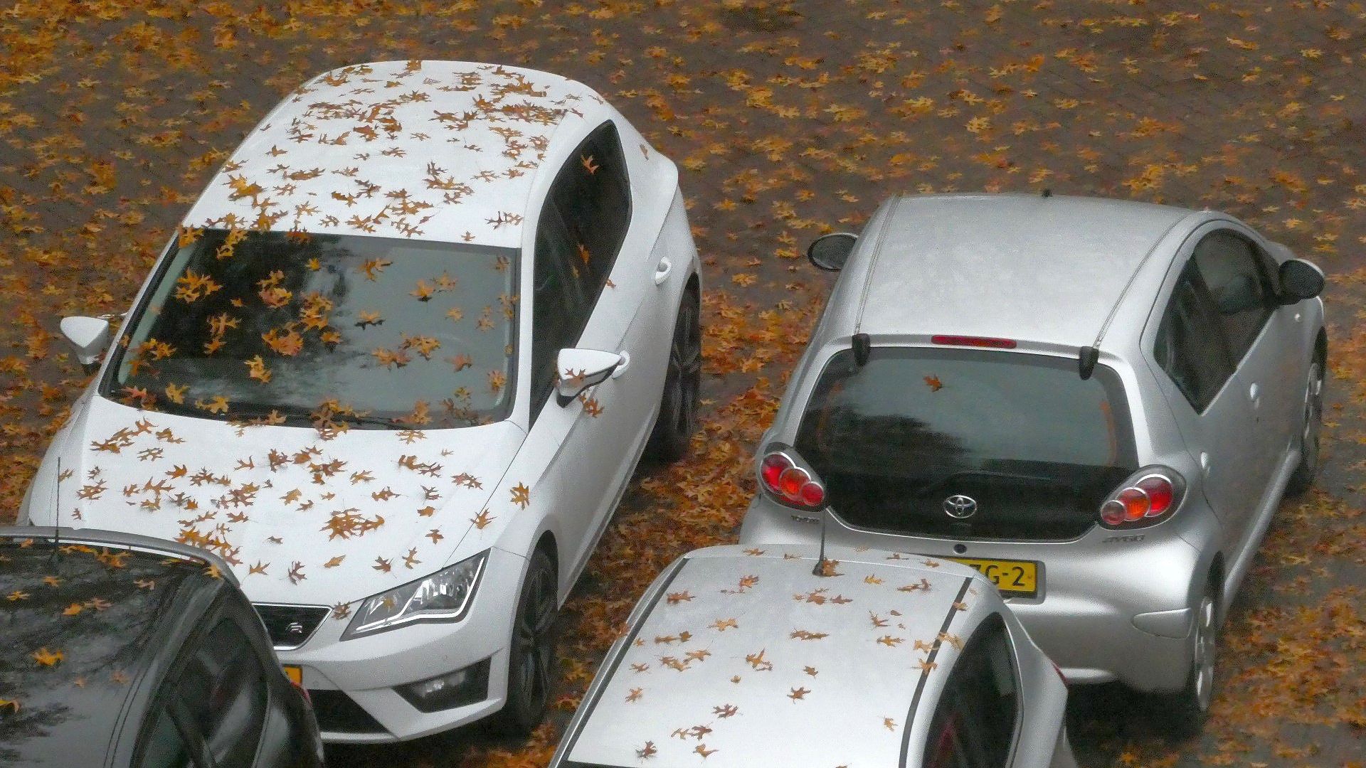 Acht auto's gestolen in Dongen