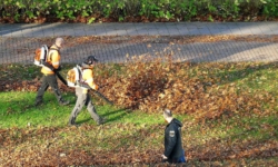 Gemeente Waalwijk gaat gevallen blad opruimen in meerdere regio’s