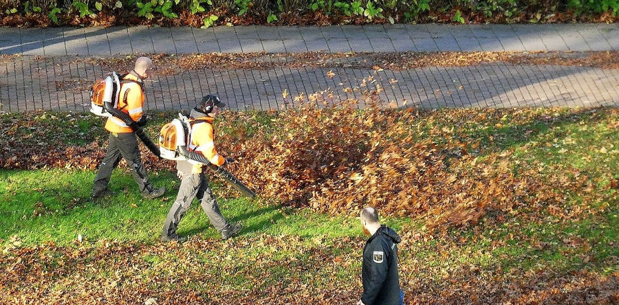Gemeente Waalwijk gaat gevallen blad opruimen in meerdere regio’s