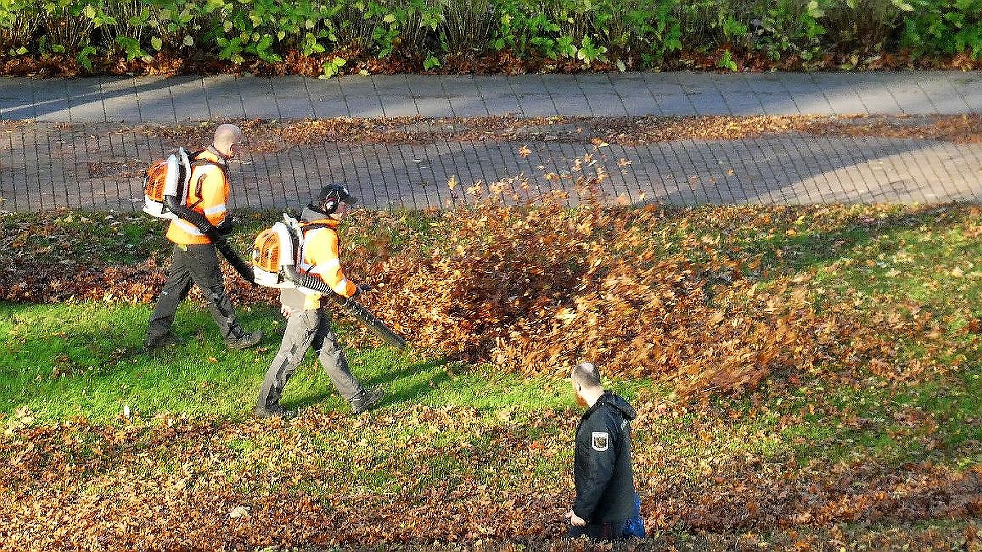 GroenLinksaf Waalwijk stelt vragen over blad ruimen in de gemeente
