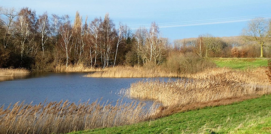 Baggerwerkzaamheden bij noordelijk wiel Elshout