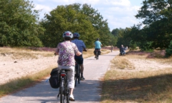 Loon op Zand verkozen tot fietsgemeente van Noord-Brabant