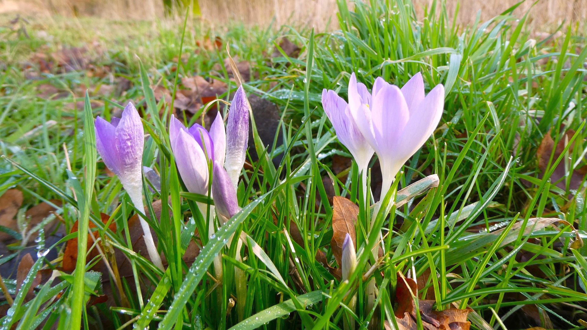 Voedselpark in Dongen staat inmiddels volop in bloei