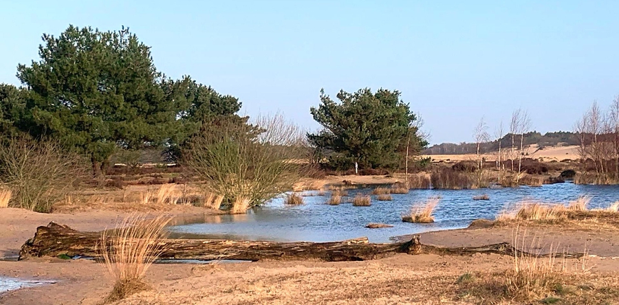 Wandeling door bosgebied de M.A.St.