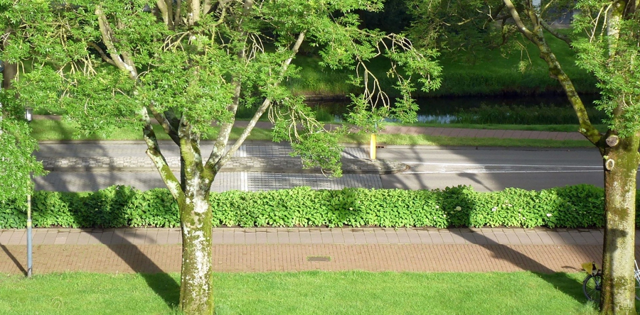 Schaduw op openbare plaatsen: Loon op Zand heeft relatief veel schaduw