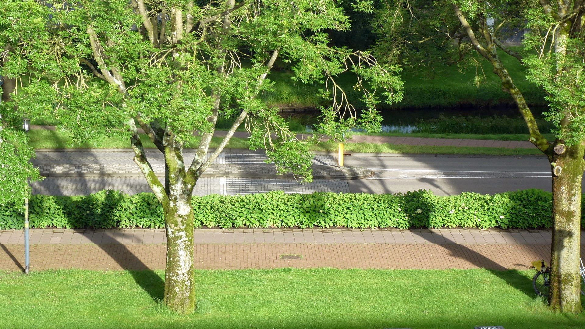Schaduw op openbare plaatsen: Loon op Zand heeft relatief veel schaduw