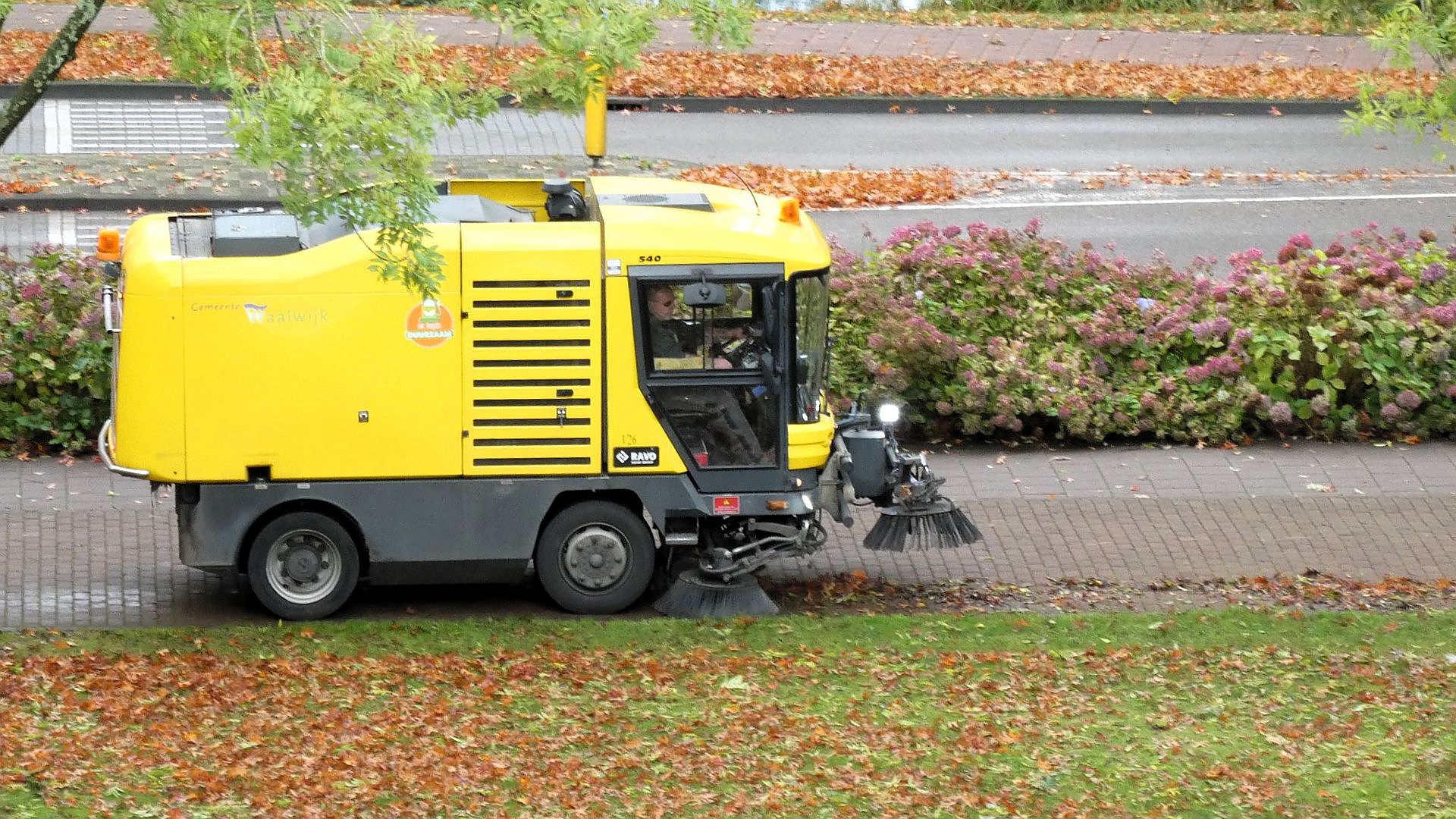 Gemeente Waalwijk gaat bladeren opruimen op hoofdwegen