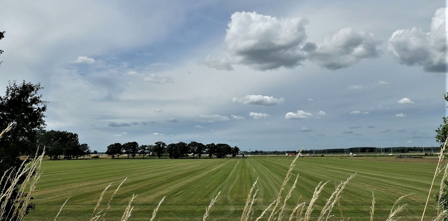 Gemeente Heusden doet onderzoek naar nieuw pachtbeleid