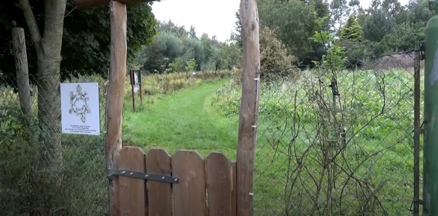 Nieuwe natuur – Film van het Foodforest instituut Brussel