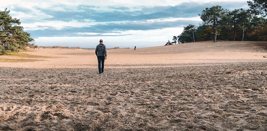 Vermiste man (26) in de Loonse en Drunense Duinen is gevonden