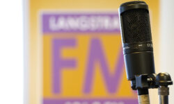 Nieuw radioprogramma in aanloop naar verkiezingen: Langstraat Kiest