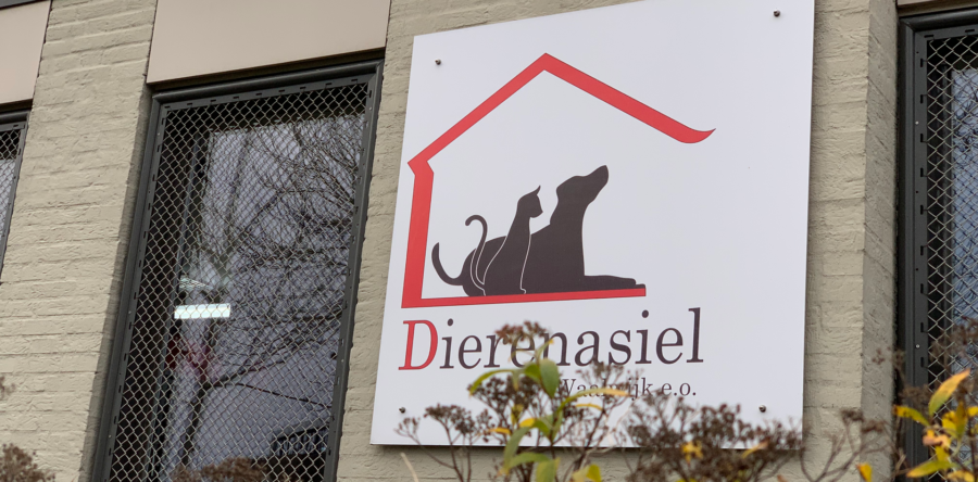 Dierenasiel Waalwijk belangrijk in coronatijd (video)