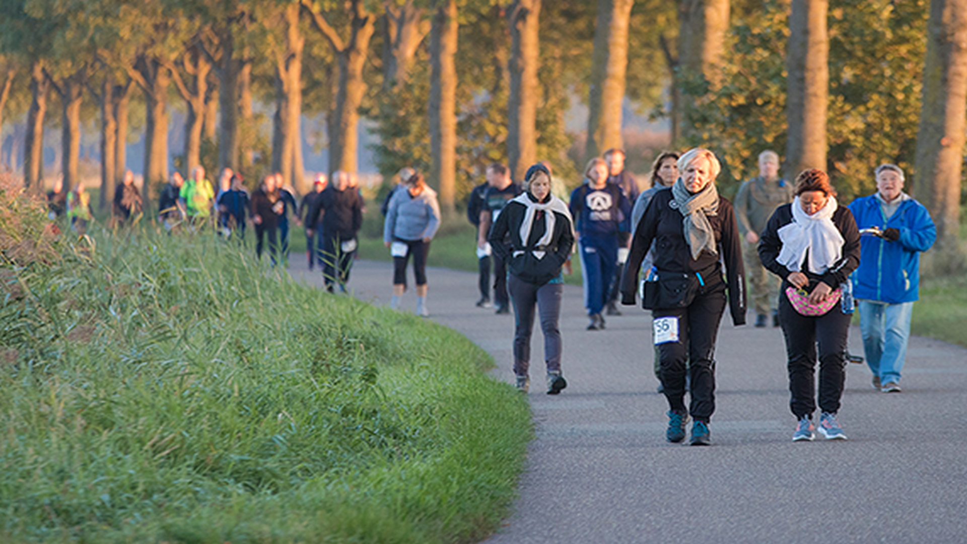 Drie alternatieven voor de 80 van de Langstraat