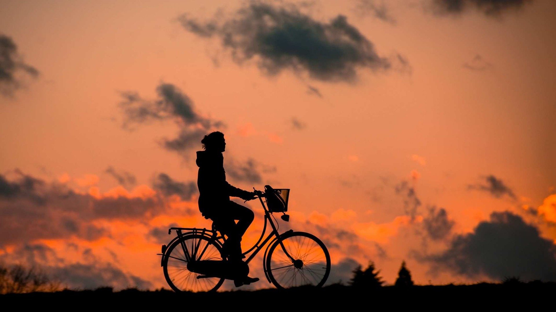 Doe-het-zelf editie Drunense Fietsvierdaagse