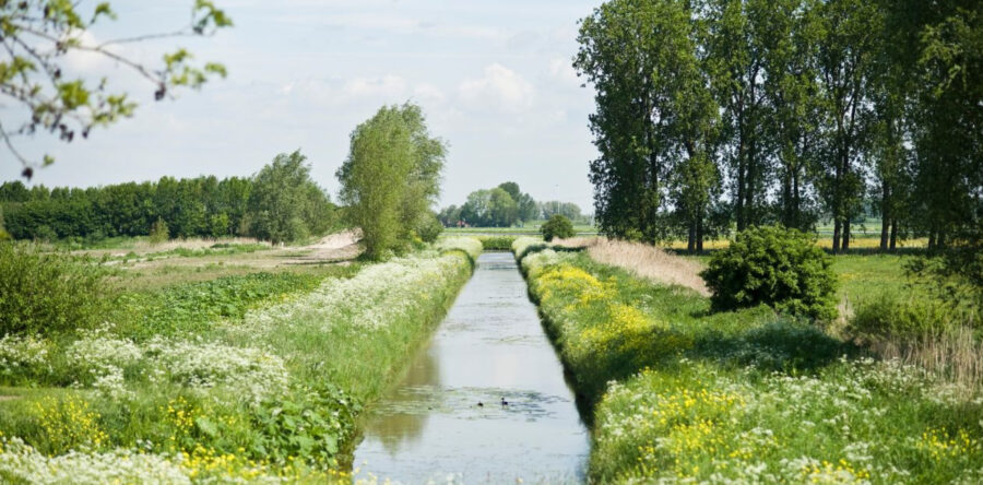 Nieuwe editie Stadswandeling: ‘Rondje Sprang’