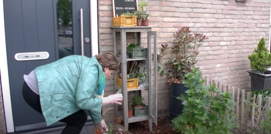 PlantYes!: Plantjes ruilen, contact én beweging (Video)