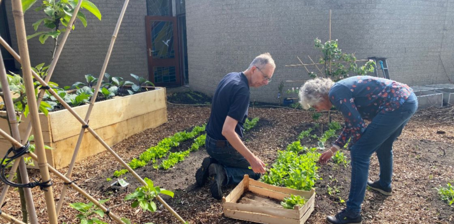 Moestuin voor verbinding in Drunen (Video)