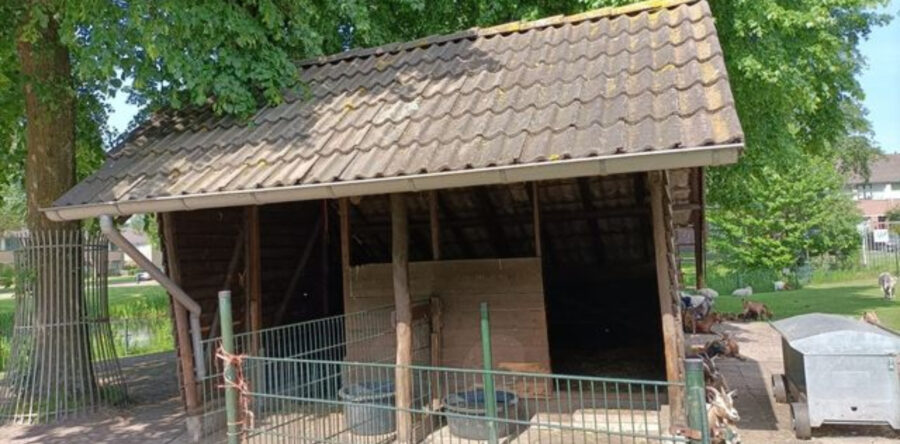 Kinderboerderij ‘t Erf in Waalwijk viert verjaardag alle dieren