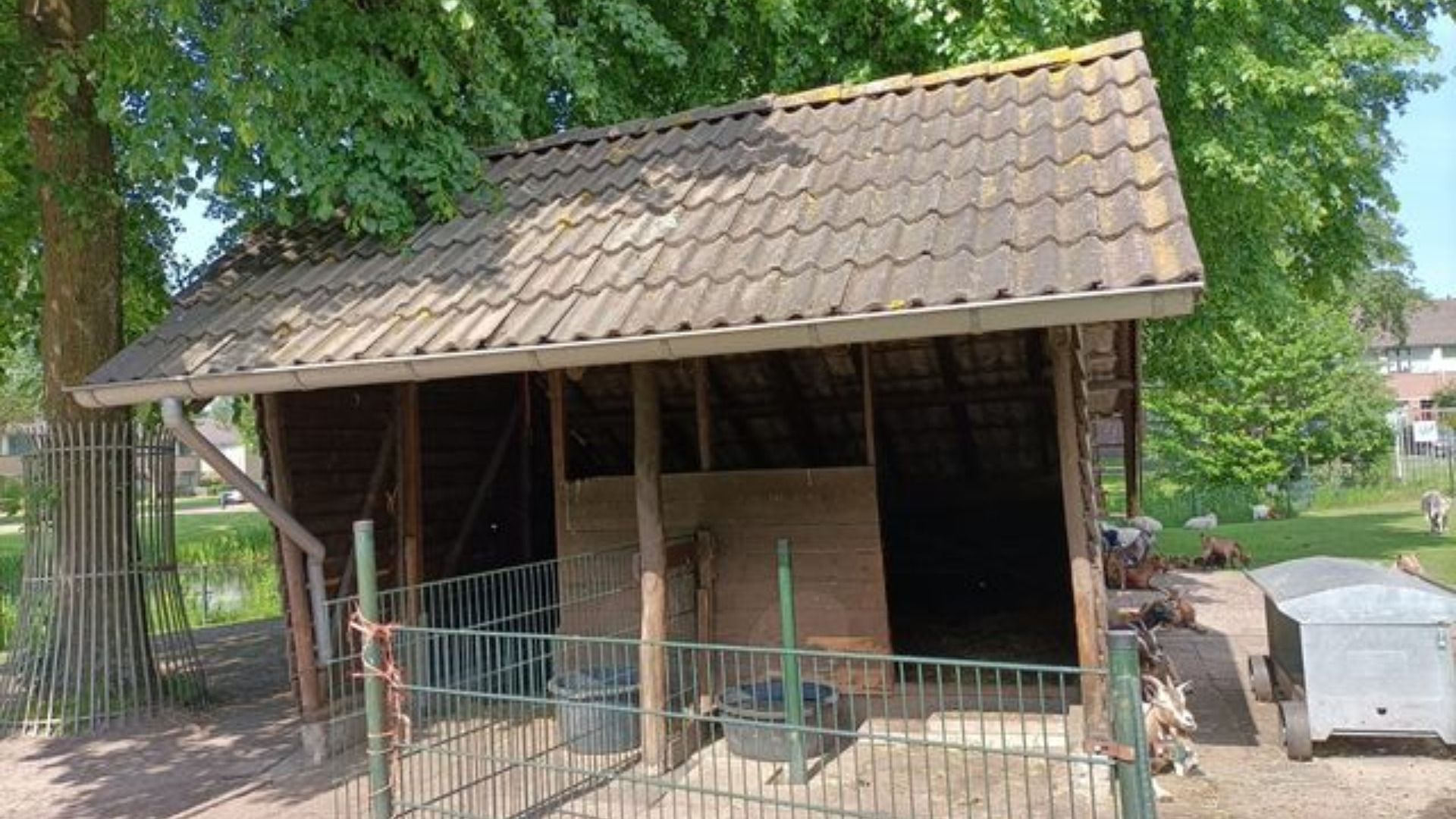 Kinderboerderij 't Erf heeft genoeg geld voor nieuwe stal