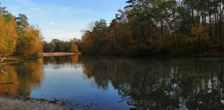 Blauwalg ontdekt in water bij Kaatsheuvelse ijsbaan