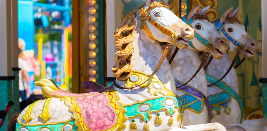 Zwieren & Zwaaien op Langstraat TV