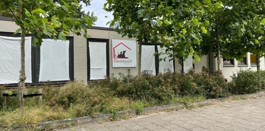 Geen coronahuisdieren bij Dierenasiel Waalwijk