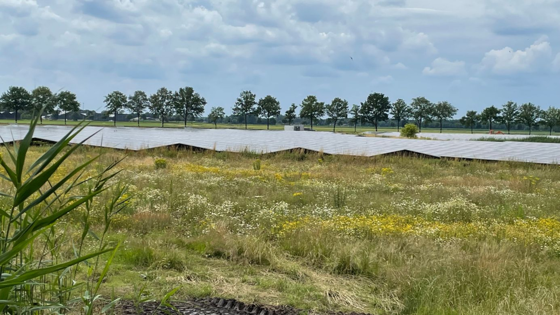 Zonnepark Tichelrijt Dongen krijgt meer vorm