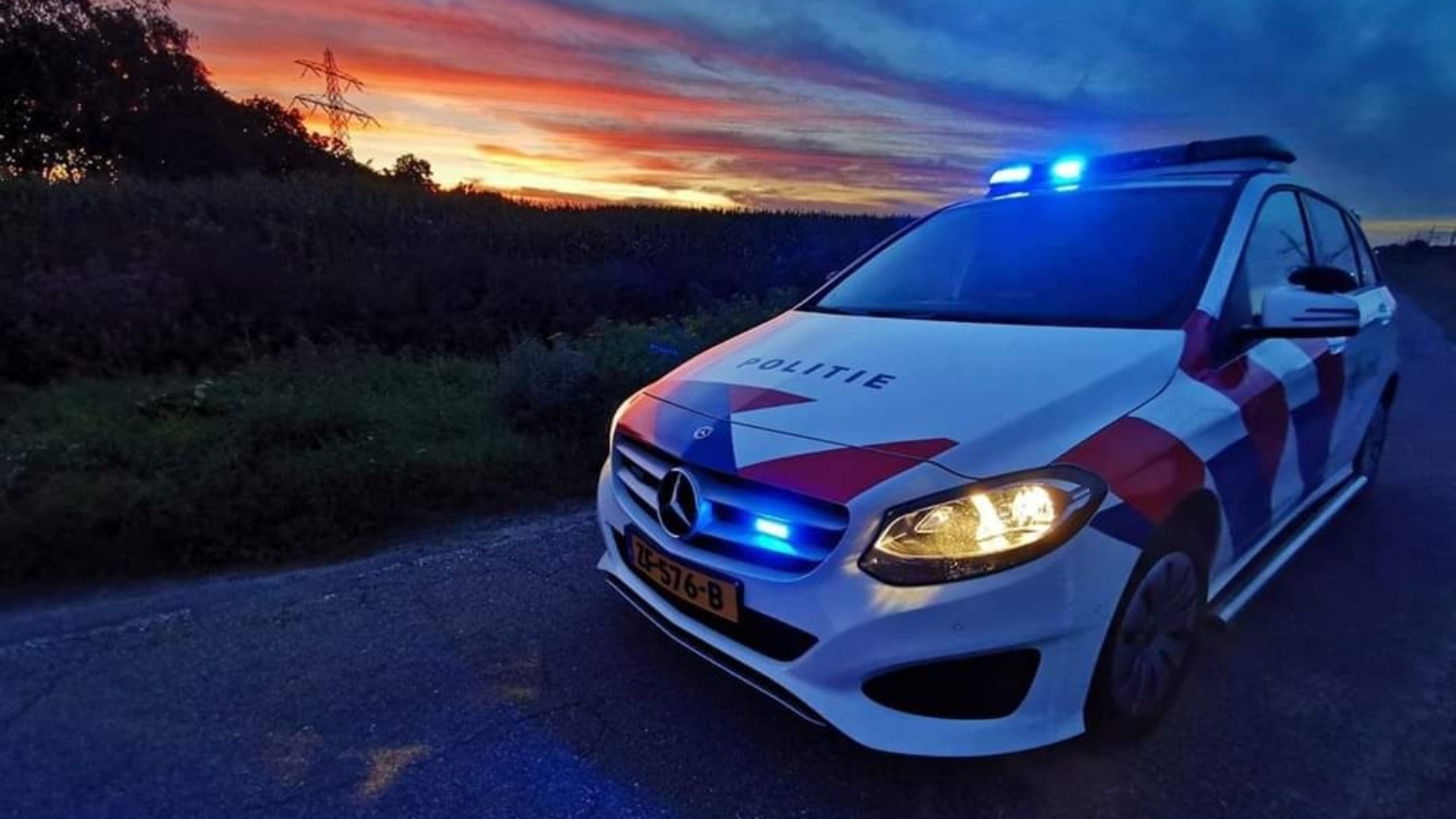 Verkeersruzie in Dongen loopt uit de hand, maar hond helpt baasje