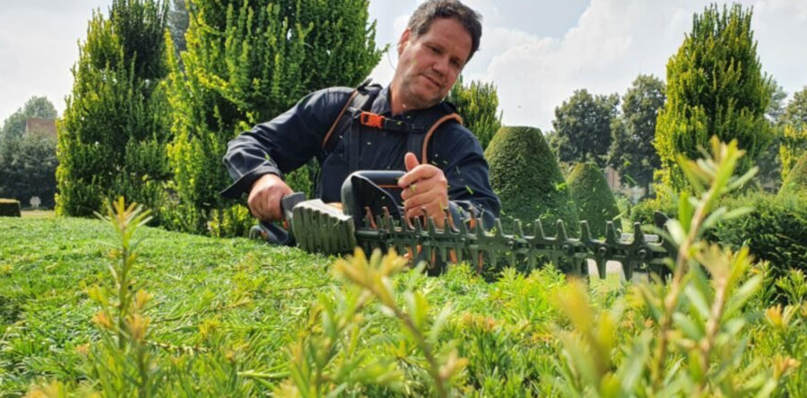 Taxusinzameling 2021 loopt tot en met 20 augustus