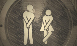 Ranglijst toiletvriendelijkheid 2025: Langstraatgemeenten scoren laag