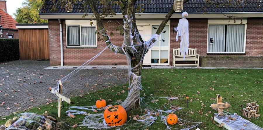 Wat is er allemaal te doen met Halloween in De Langstraat? (Video)