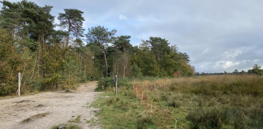 Gemeente Dongen scoort hoog op de beweegvriendelijkheid
