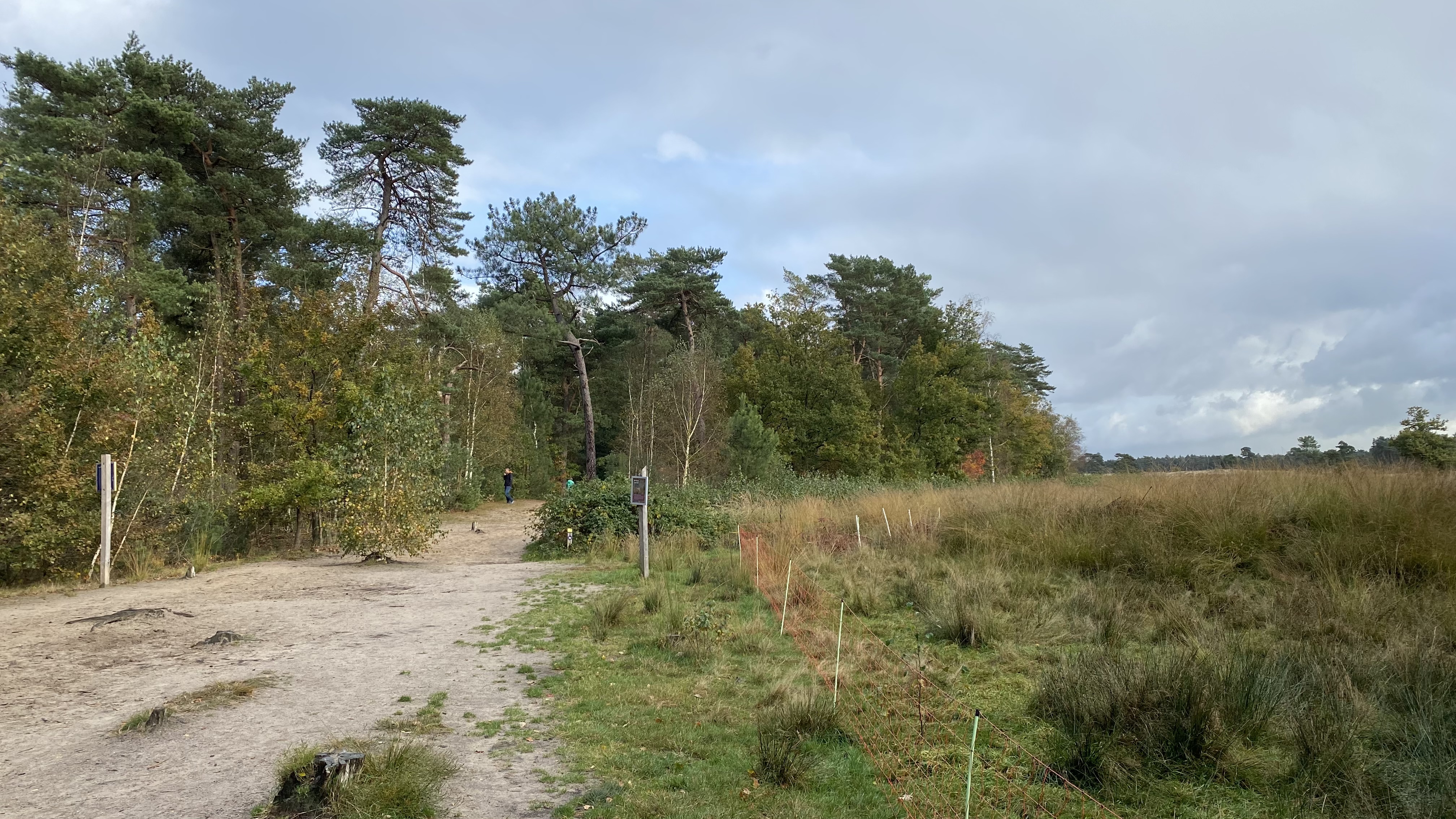 Gemeente Dongen scoort hoog op de beweegvriendelijkheid